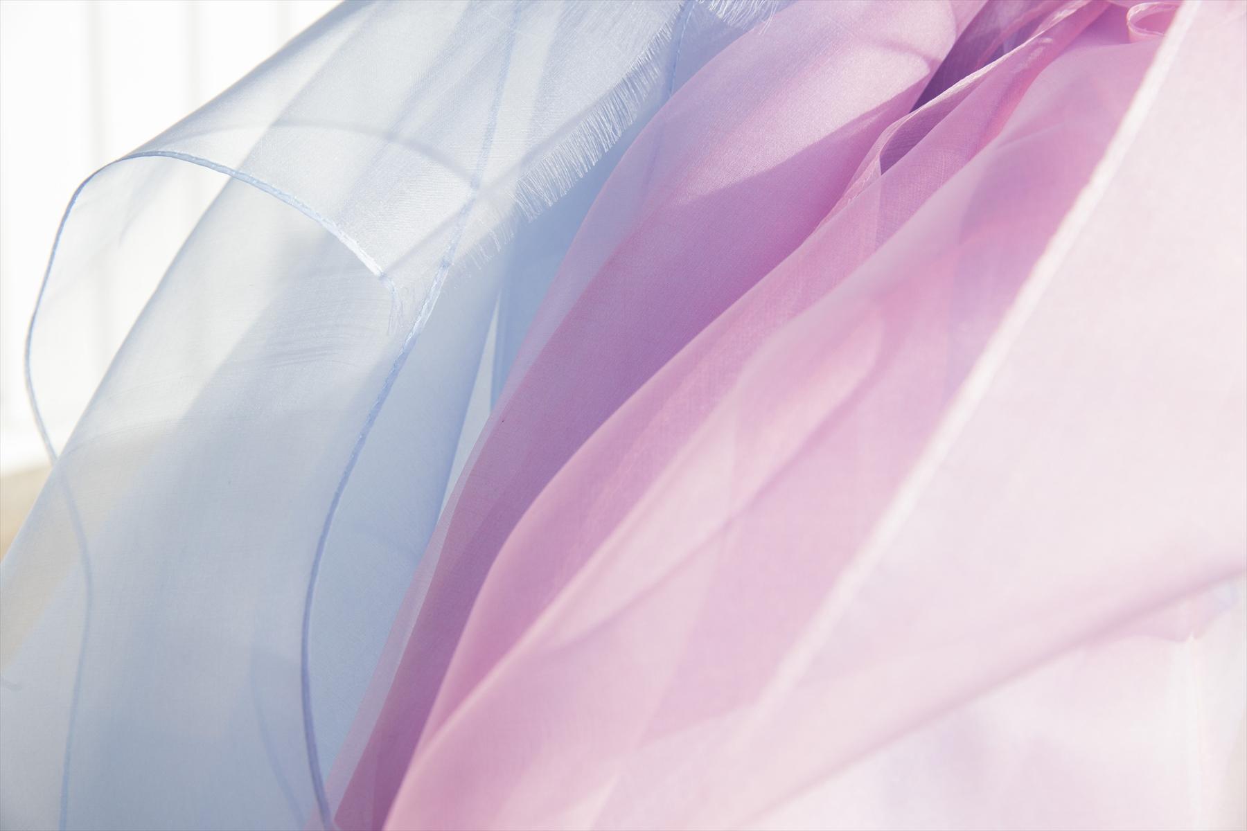 大森さんの写真