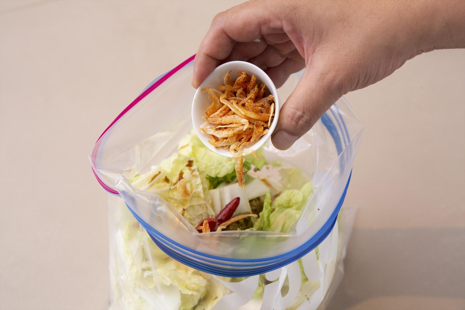 白菜浅漬けをつくる