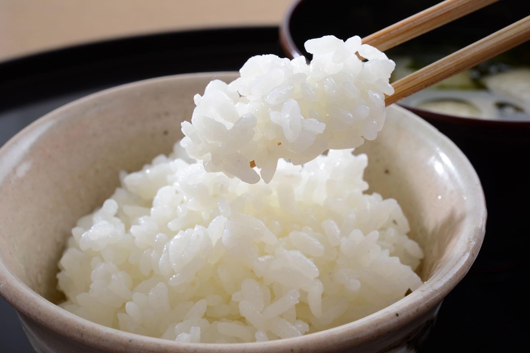 「とちぎの星」ごはん