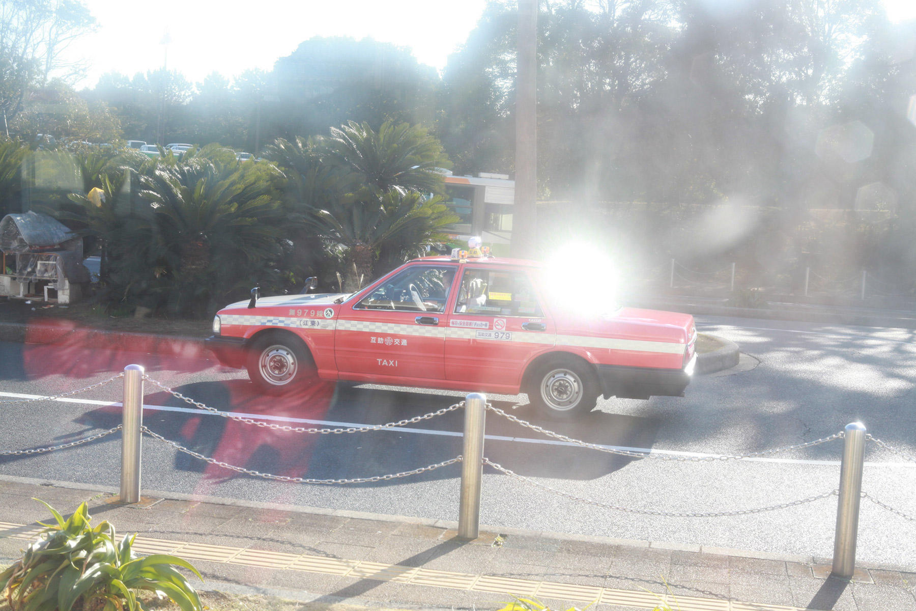 大森さんの写真