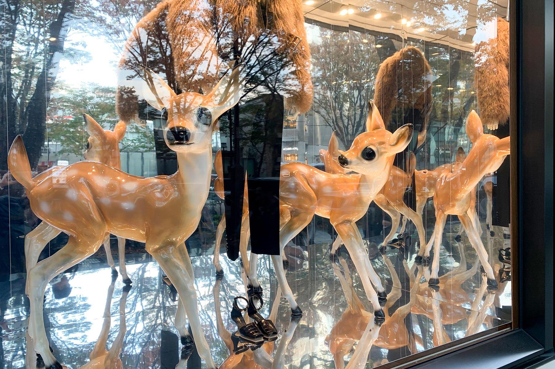 大森さんの写真