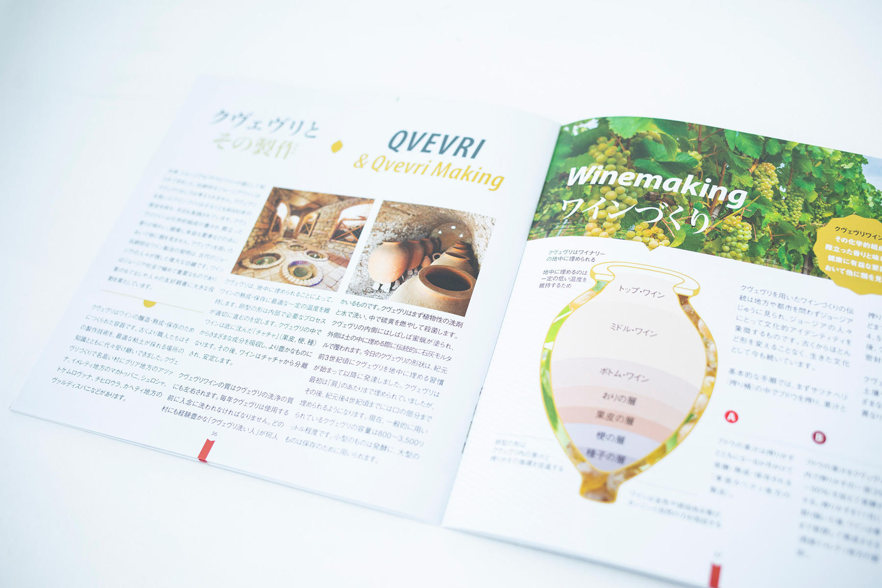 GEORGIA HOMELAND WINE(ジョージアワインの揺りかご)