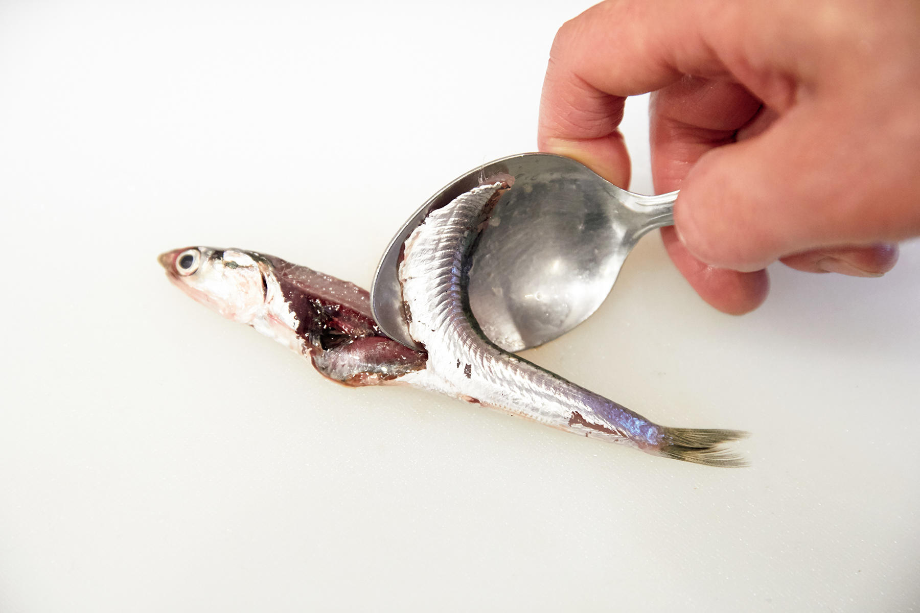 メカジキを切る