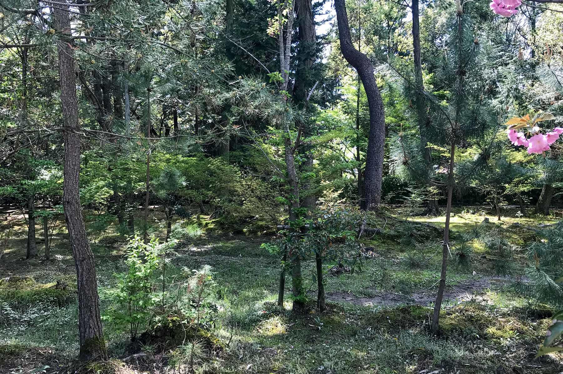 大森さんの写真