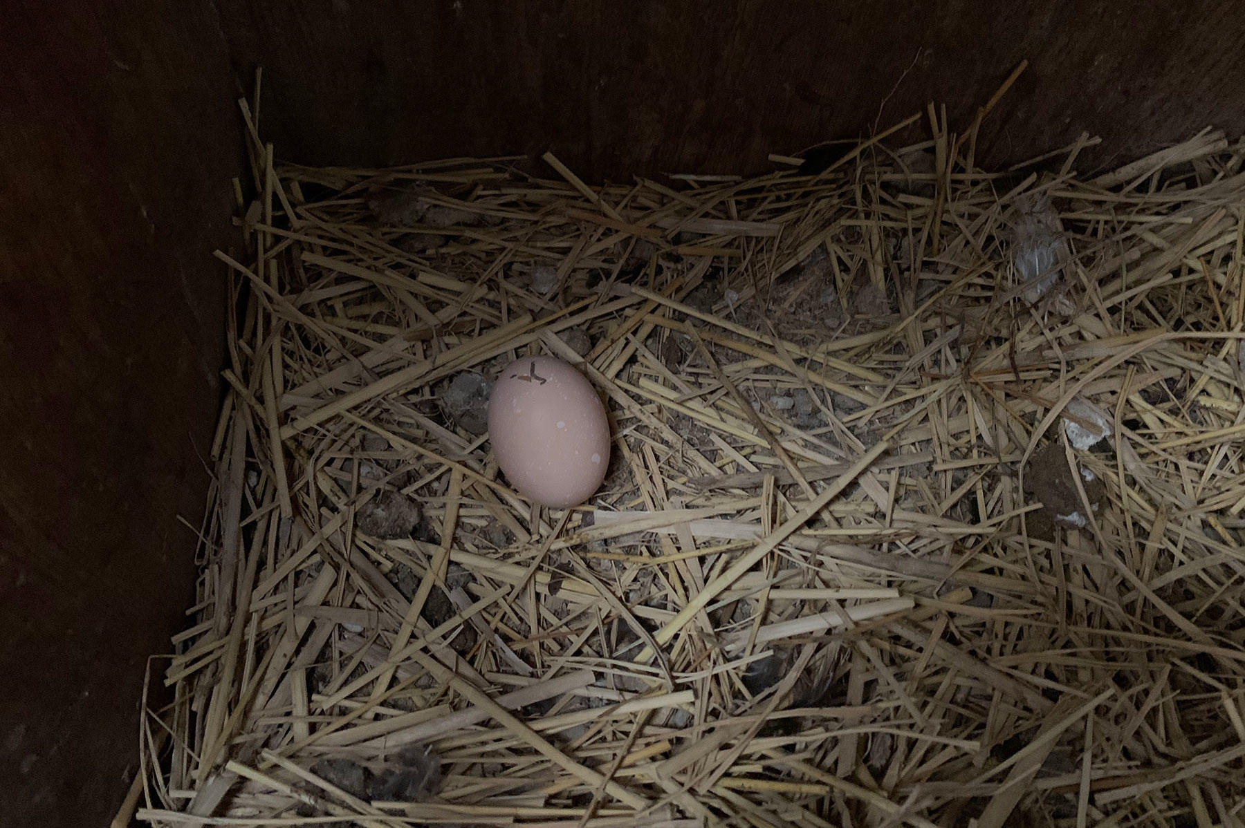 大森さんの写真