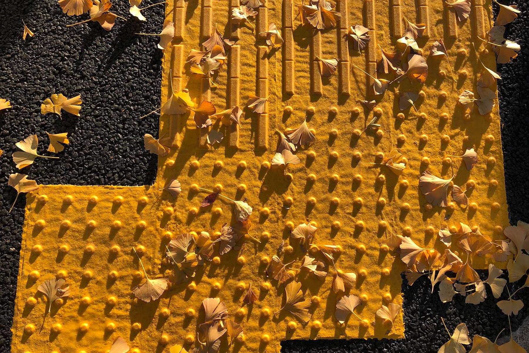 大森さんの写真