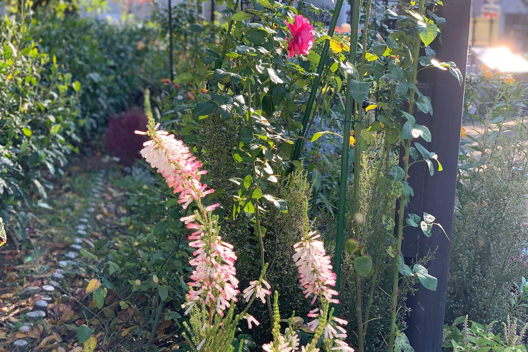 大森さんの写真