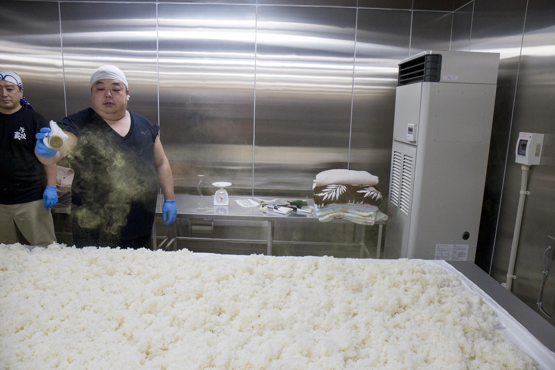 種麹を振る中野徳司杜氏