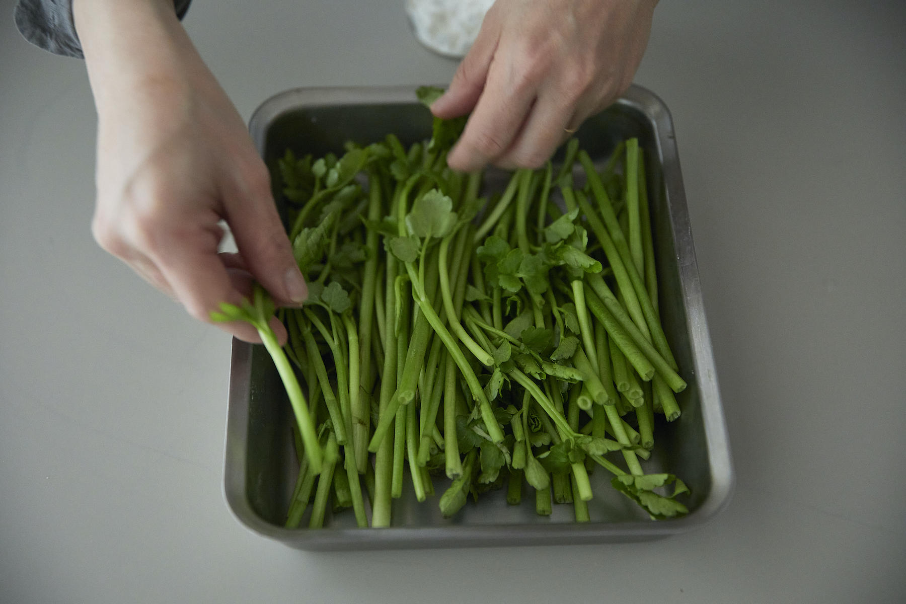 小麦粉をまぶす