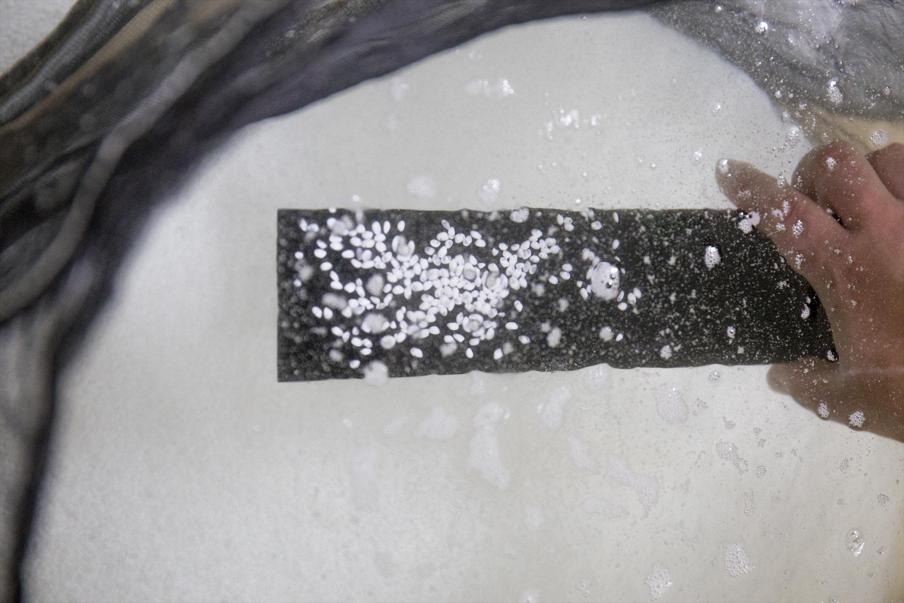 中野杜氏が確認