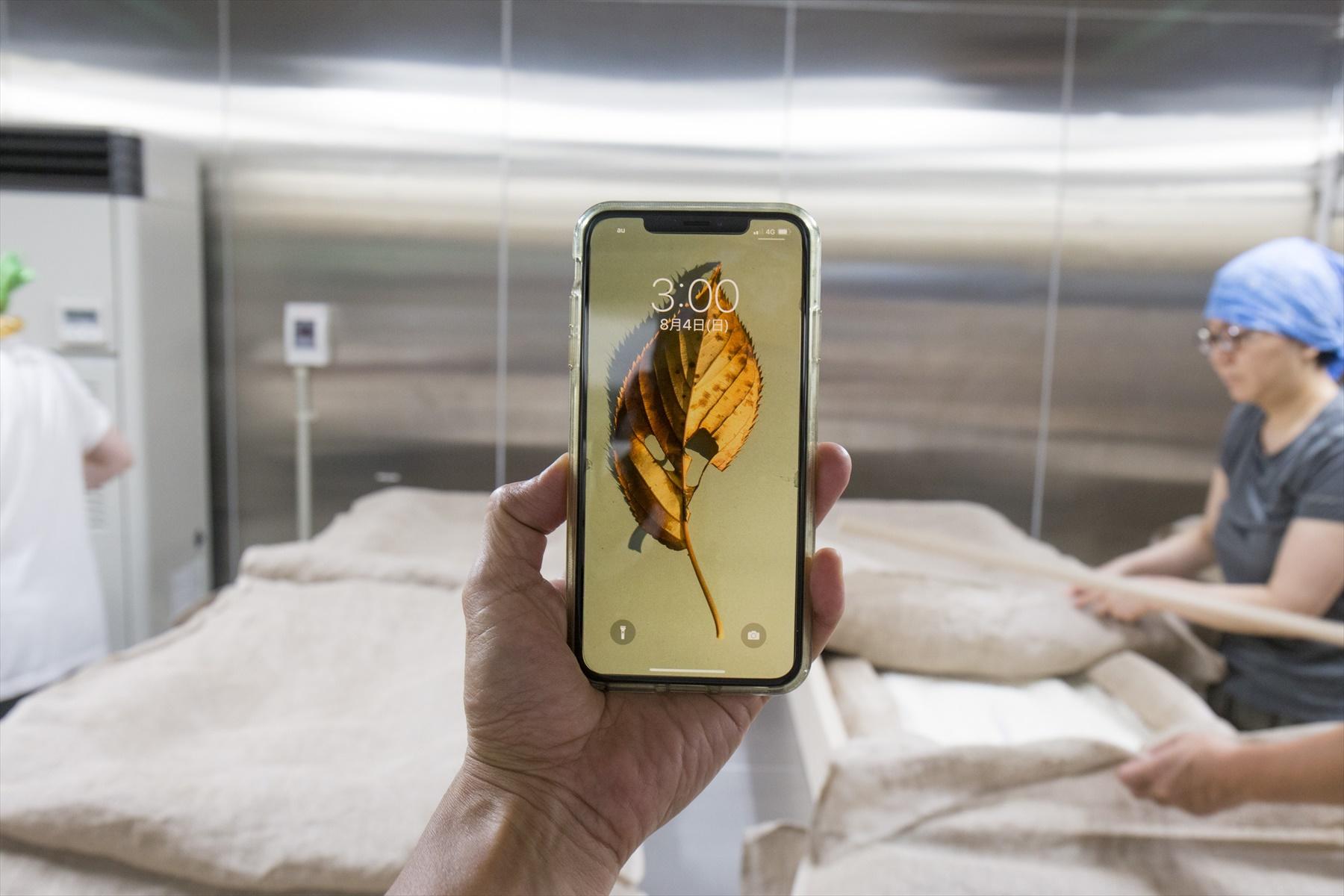 丑三つ時の麹室