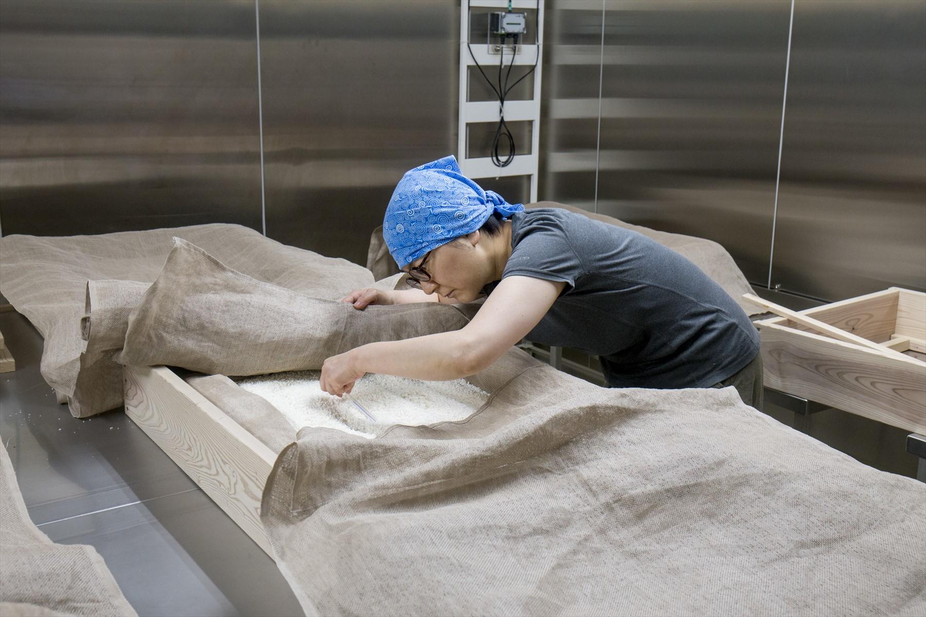 麹室で体温計を確認している様子