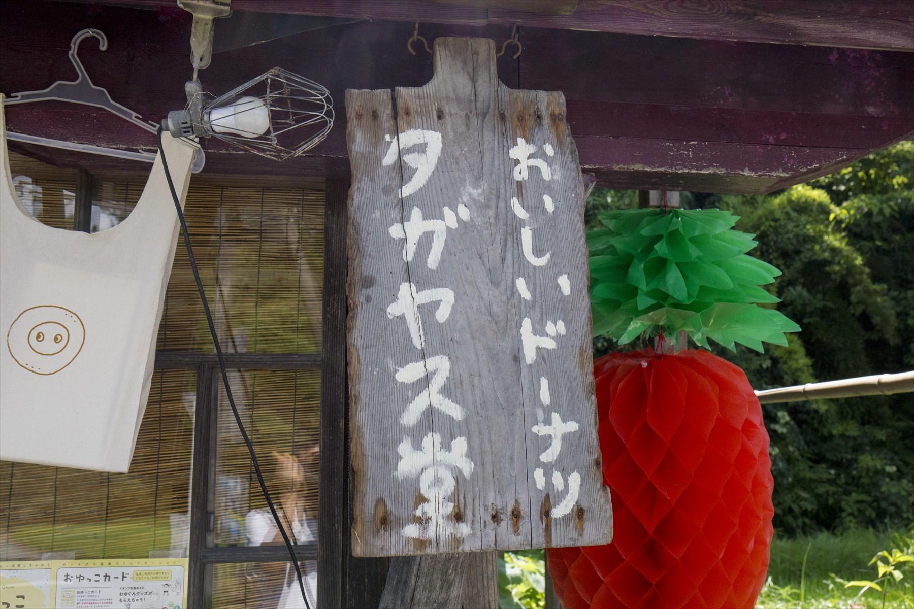 タガヤス堂看板