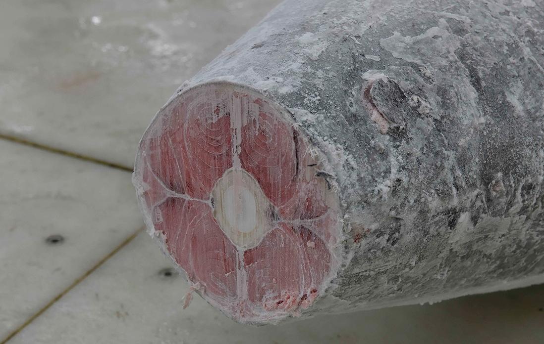 冷凍マグロの解体の様子