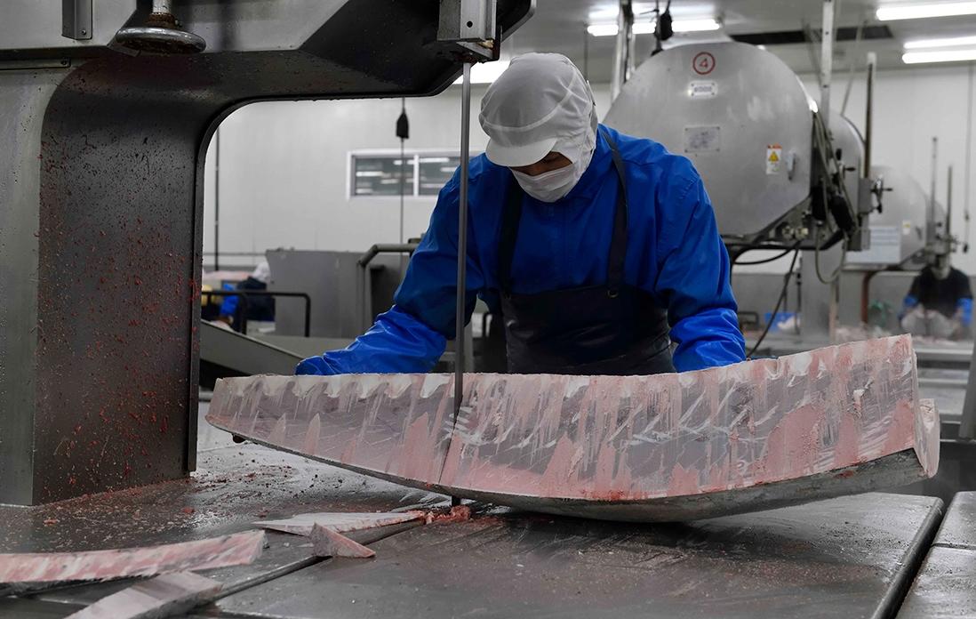 冷凍マグロの解体の様子