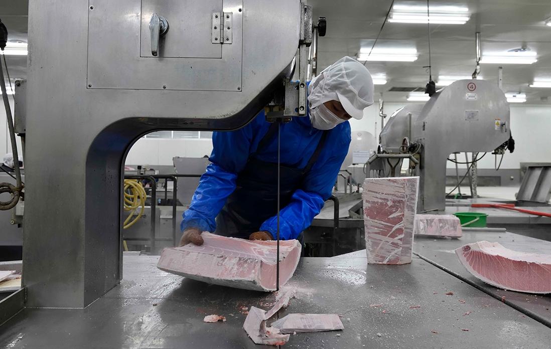 冷凍マグロの解体の様子