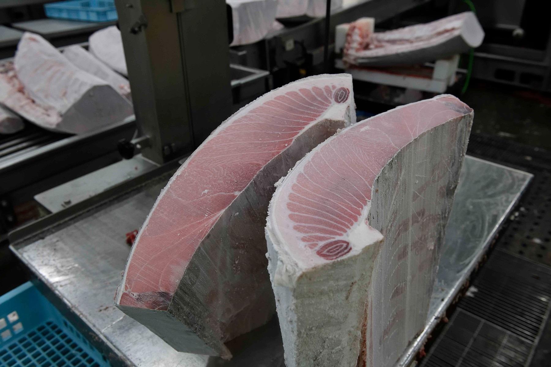 冷凍マグロの解体の様子