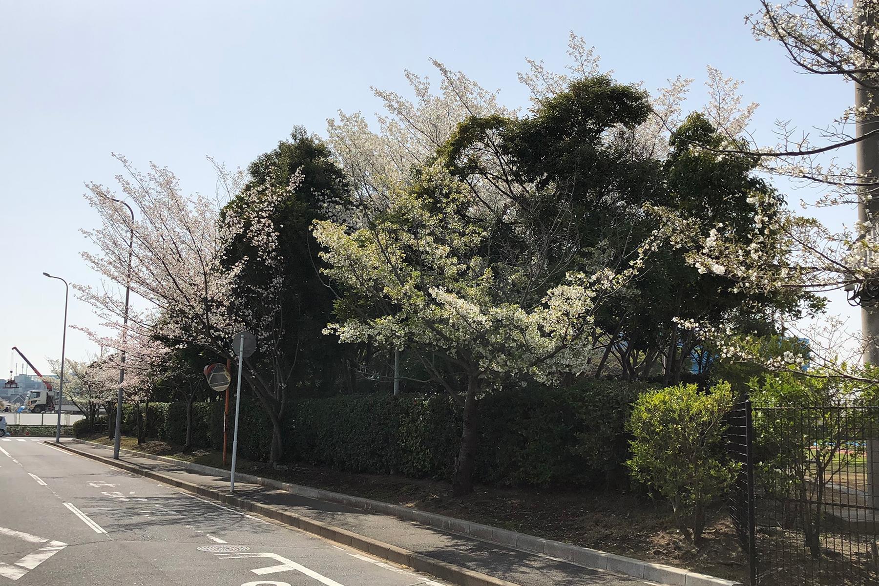 大森さんの写真