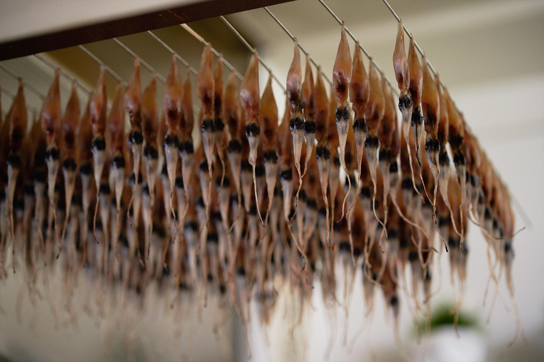 干されている骨