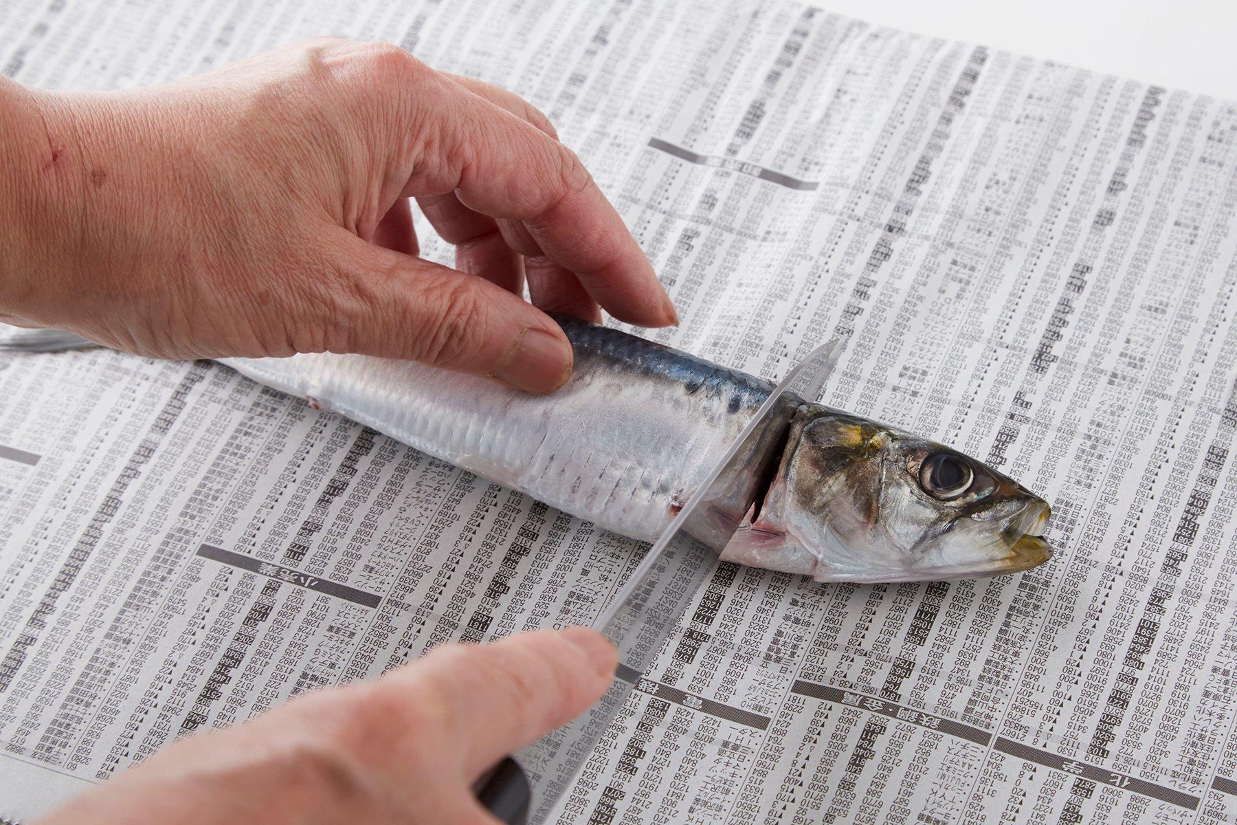 イワシを捌く