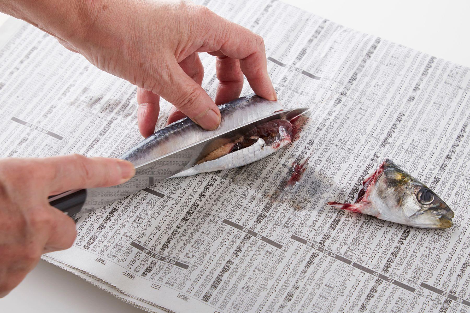 イワシを捌く