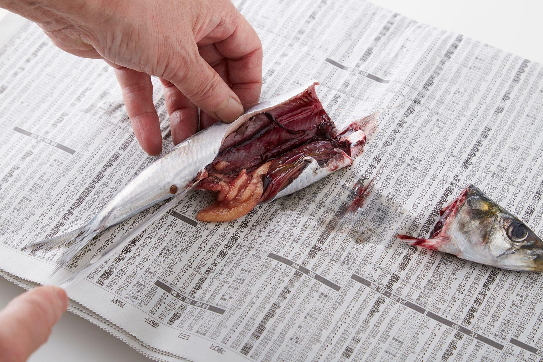 イワシを捌く