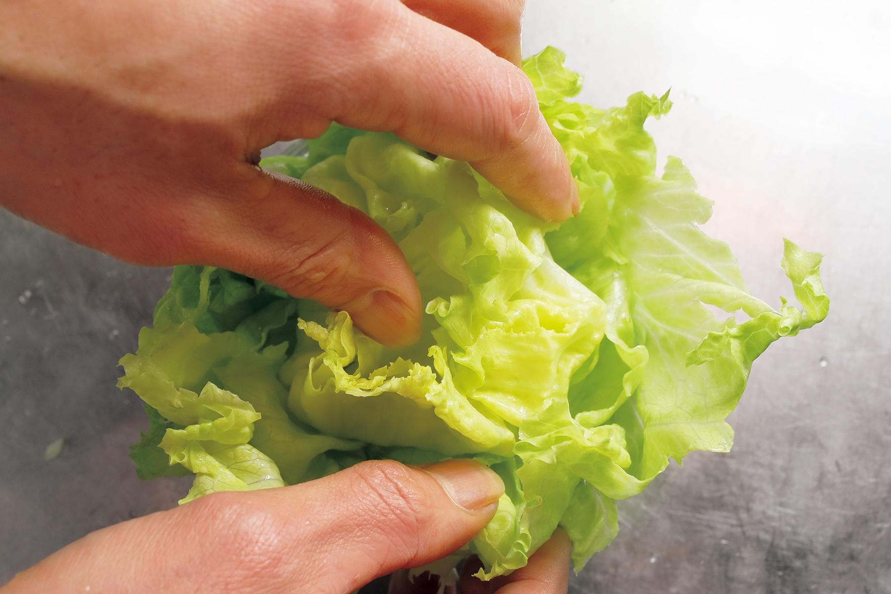 ちぎり方と盛りつけ