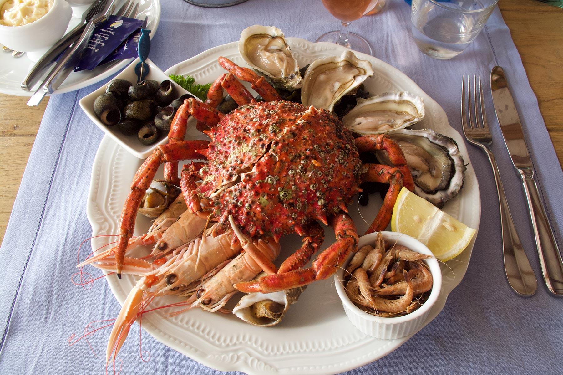 フリュイドメール