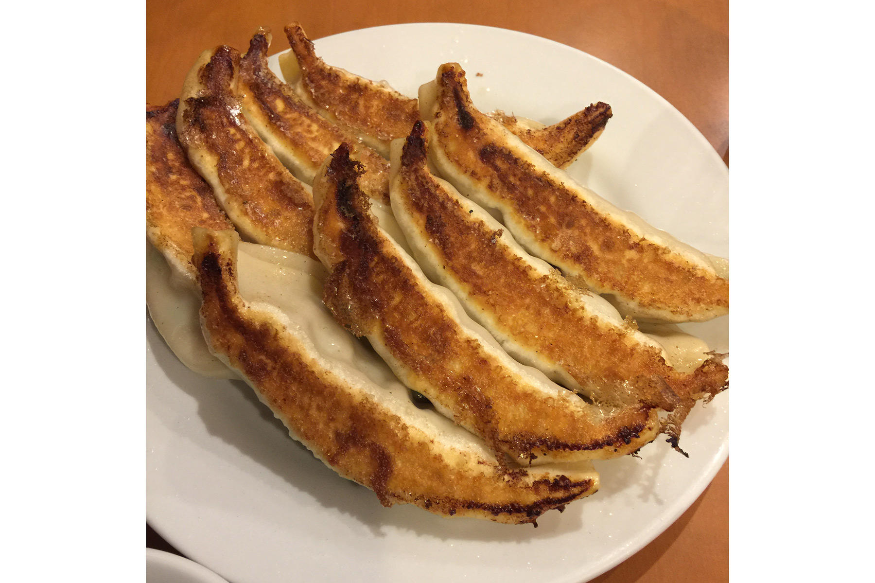 東京・銀座「銀座天龍 本店」の餃子