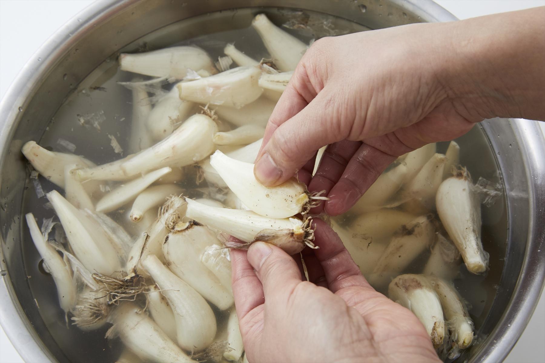 らっきょうを分ける