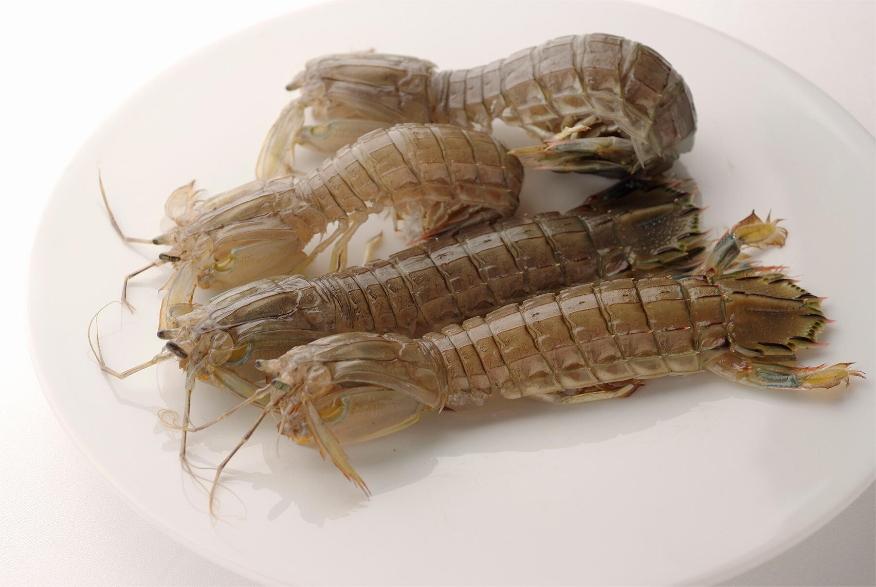 北海道・札幌「MAGARI（マガーリ）」の春シャコとサフランのキタリーニ