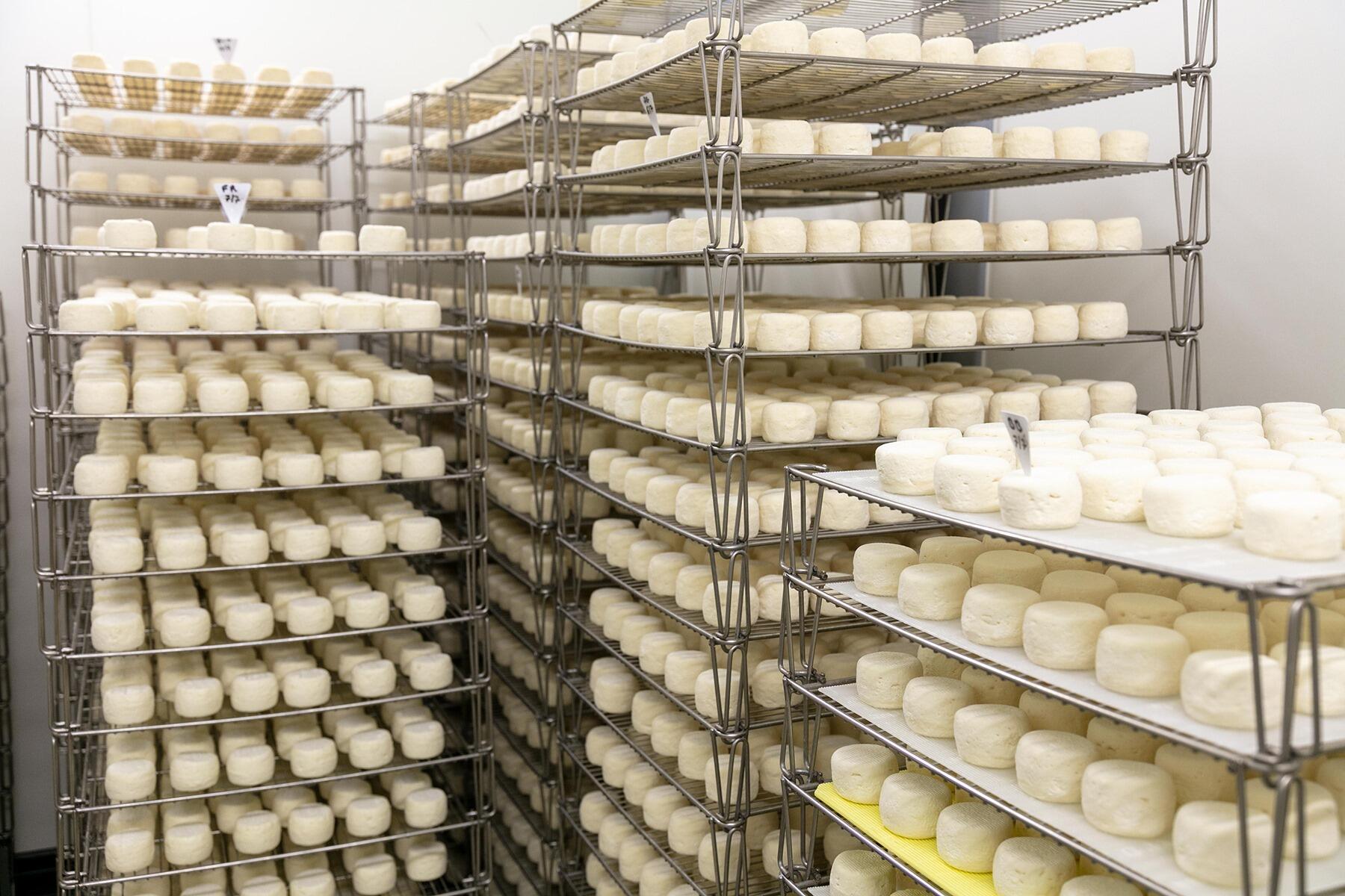 チーズの並んだ棚