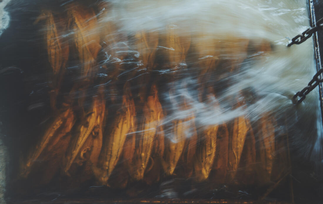 静岡・御前崎市の本枯節の卵かけご飯