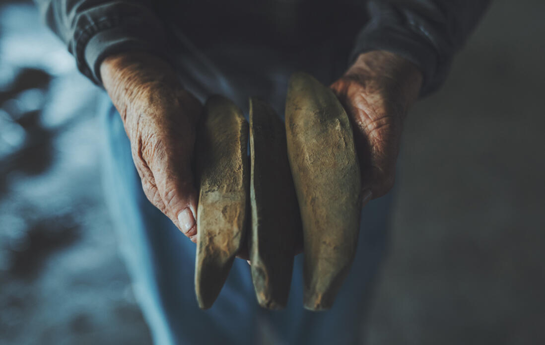 静岡・御前崎市の本枯節の卵かけご飯