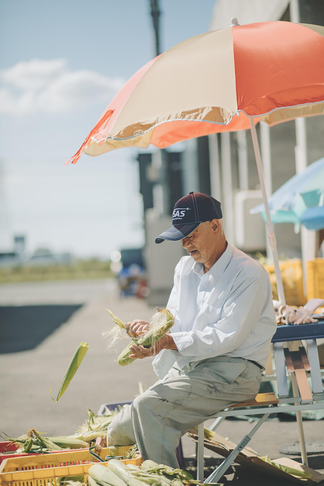 北海道・三笠町の及川さんの八列とうきび