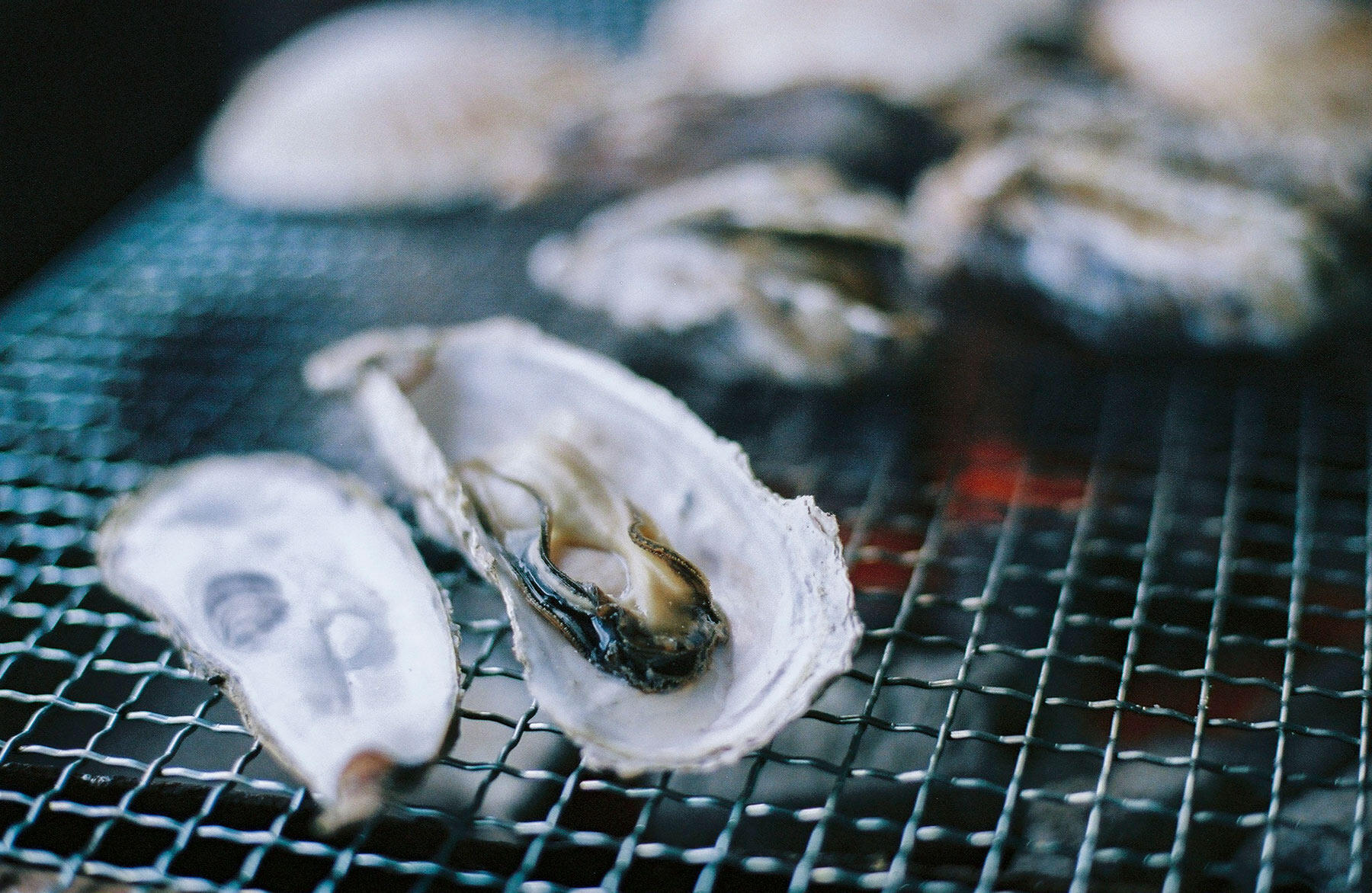 福岡・糸島 牡蠣小屋「恵比須丸」の牡蠣