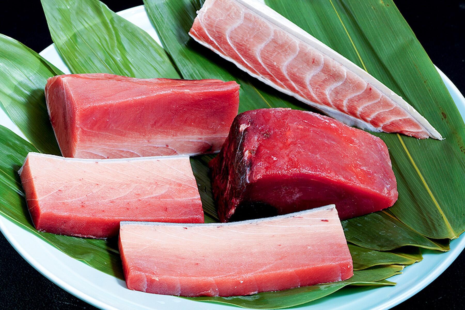 天然インドマグロ