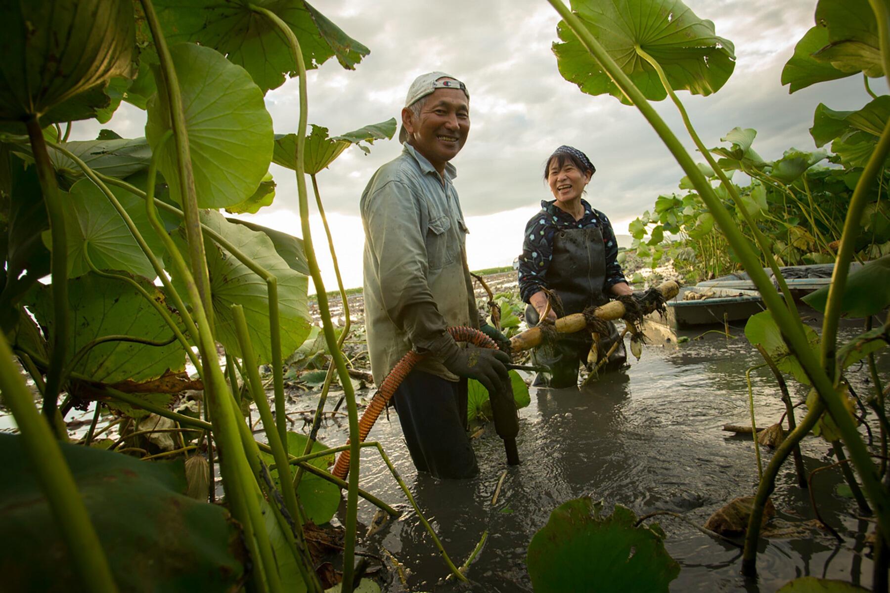佐賀・白石町 渕上家の人