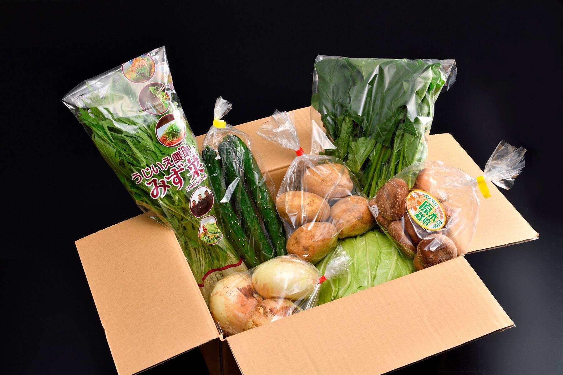 宮城県産野菜のセット