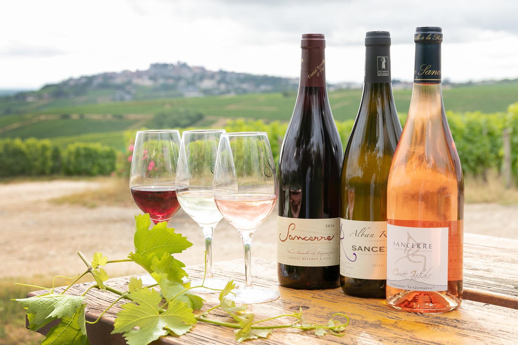 サンセールのワイン