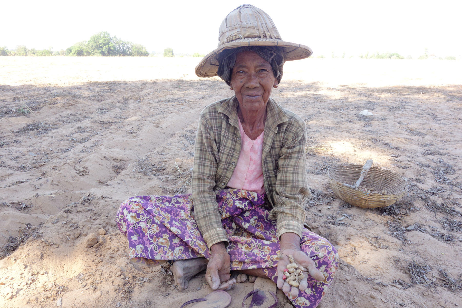 ピーナッツ拾いのおばあさん