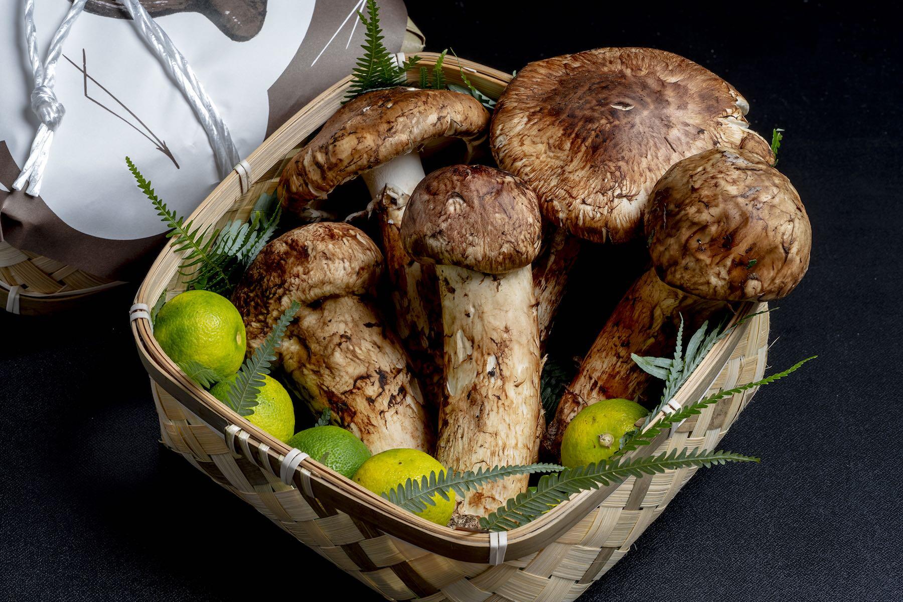 丹波摂津の松茸