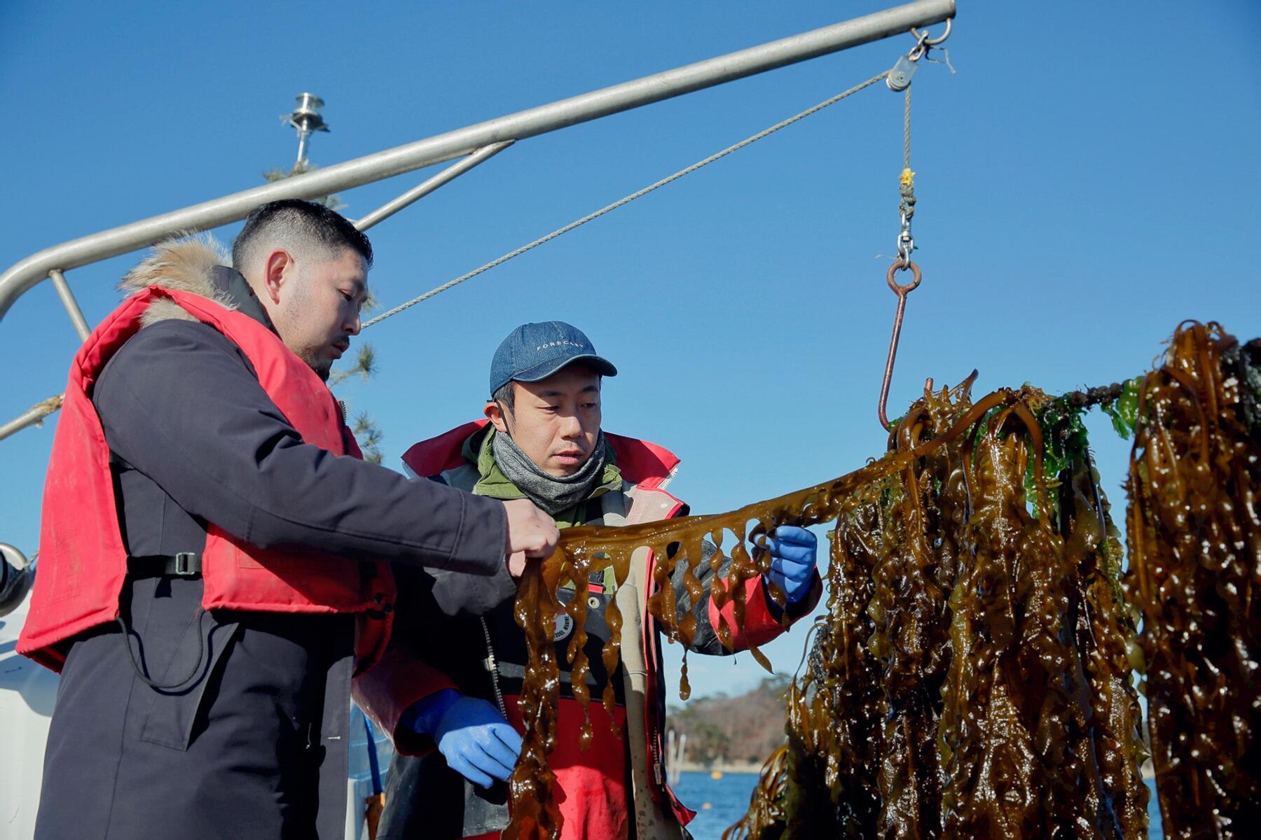 わかめを見る男性