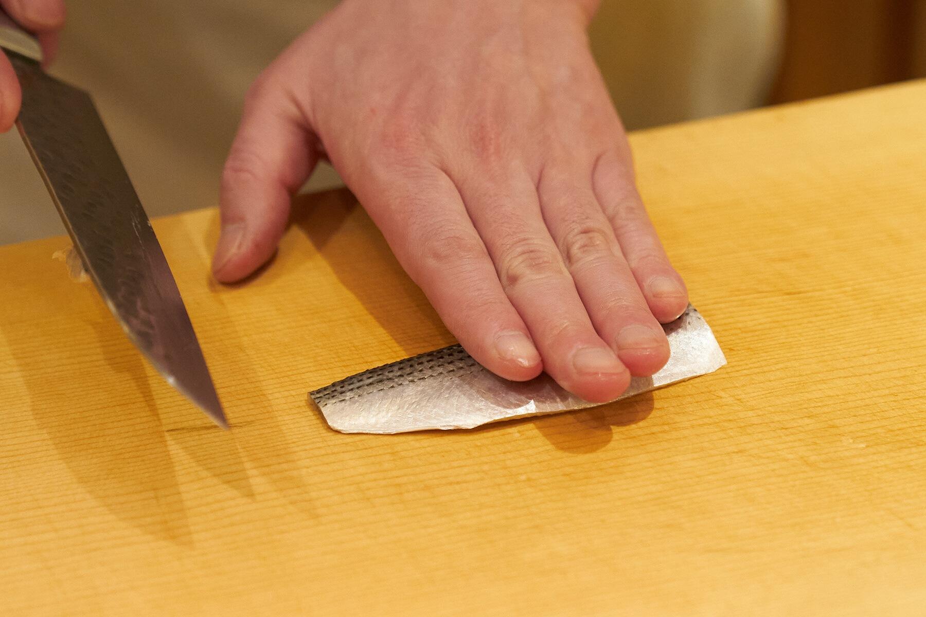 手と魚の大きさ比較