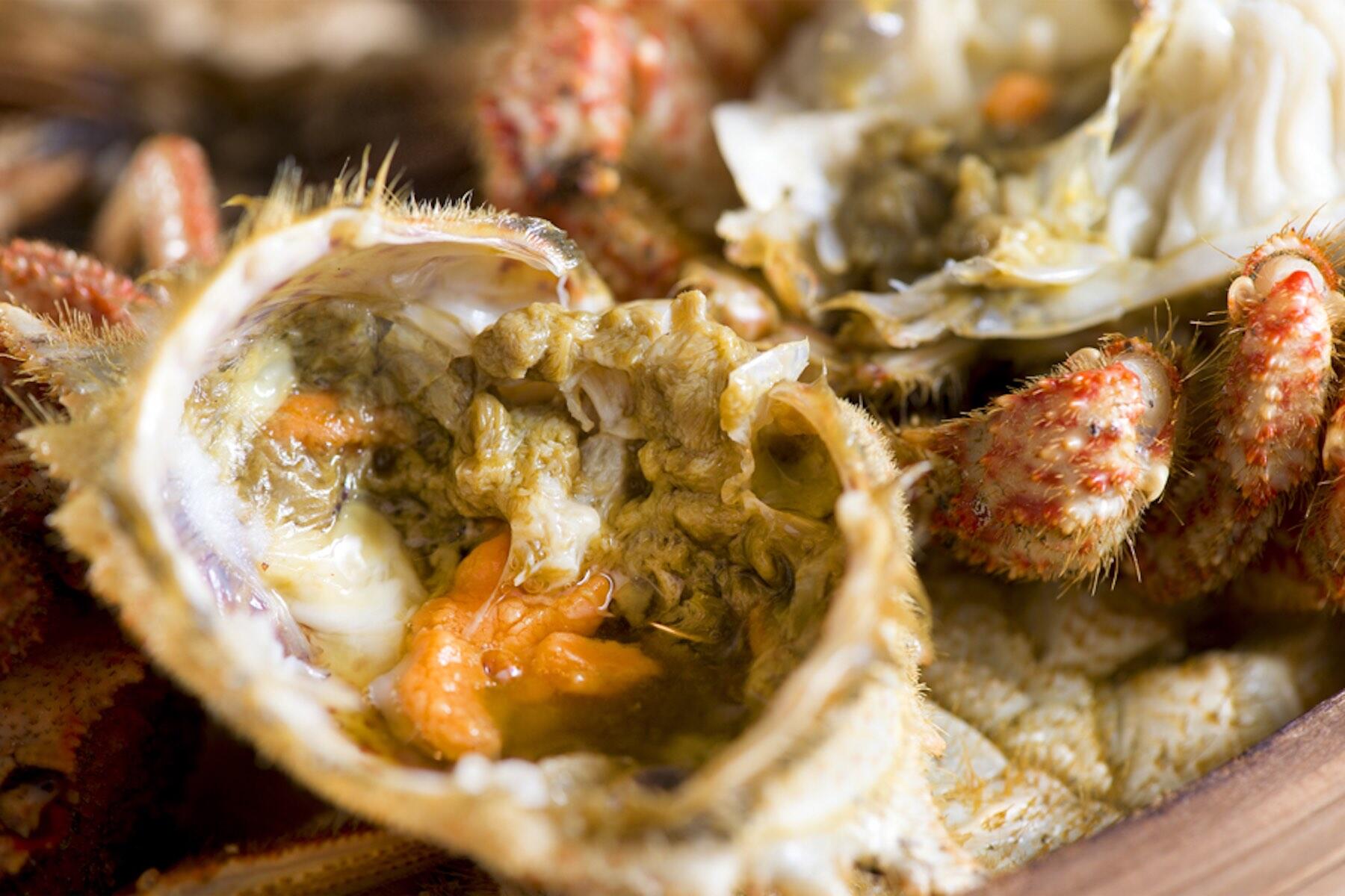 活トゲクリガニ