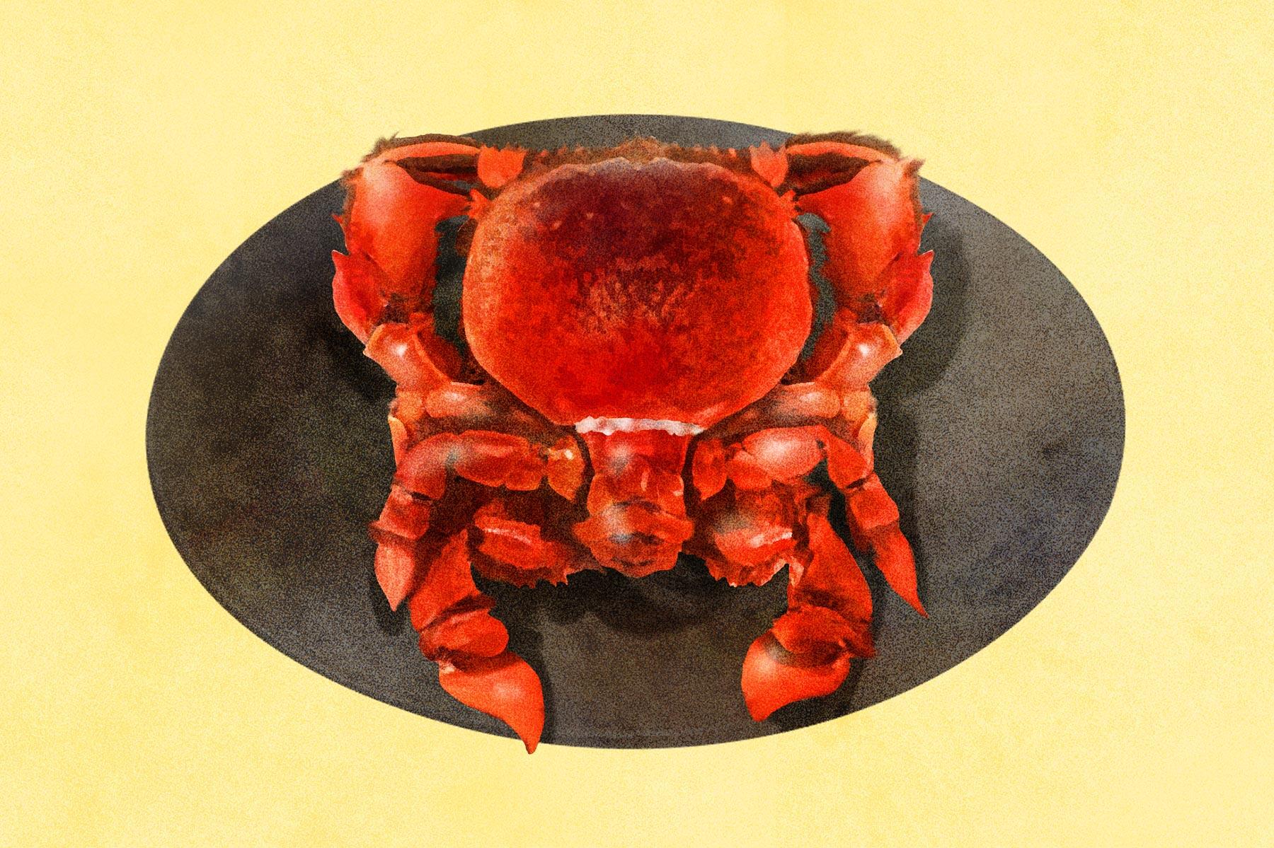 アサヒガニの塩ゆで