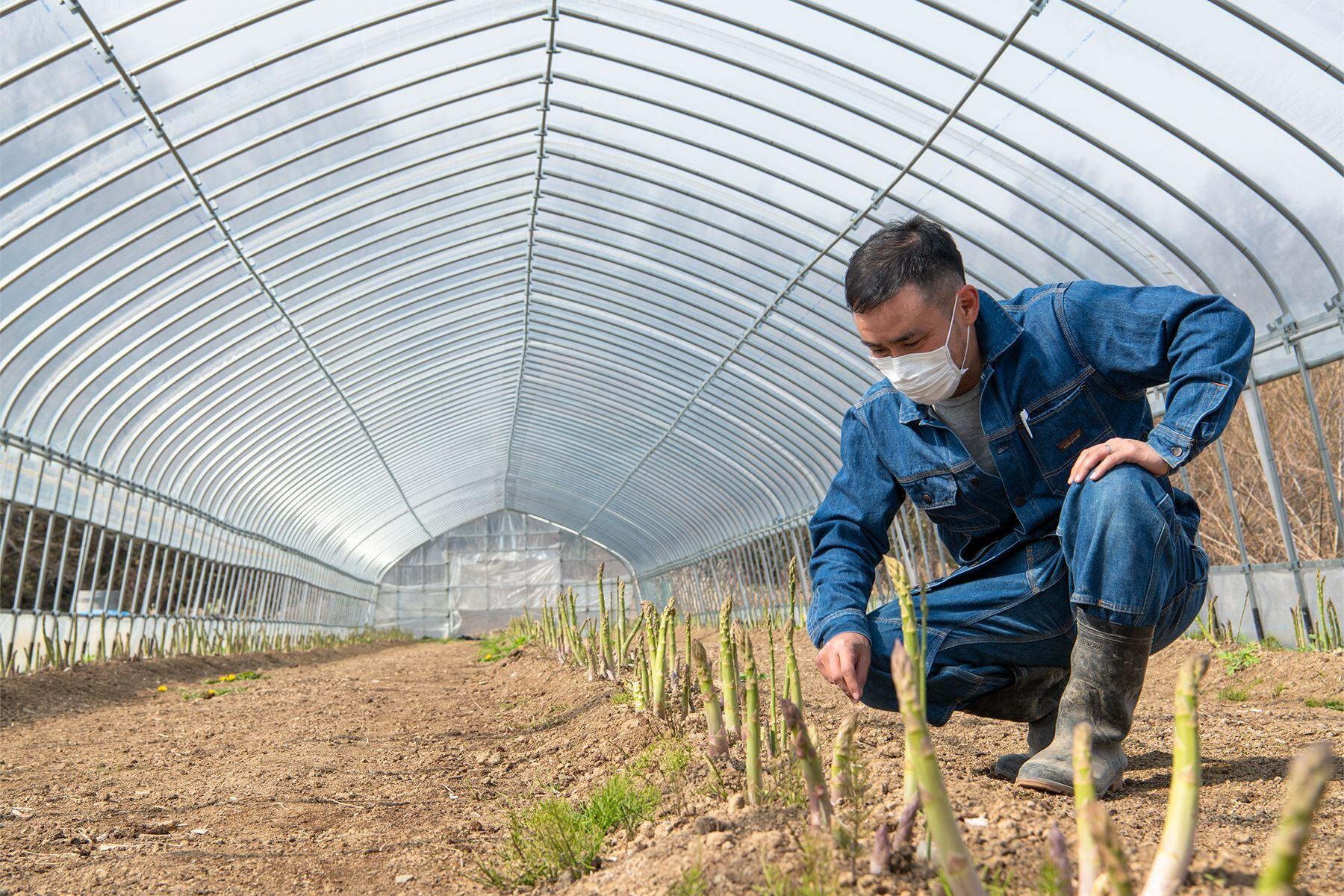 栽培の様子を見る男性