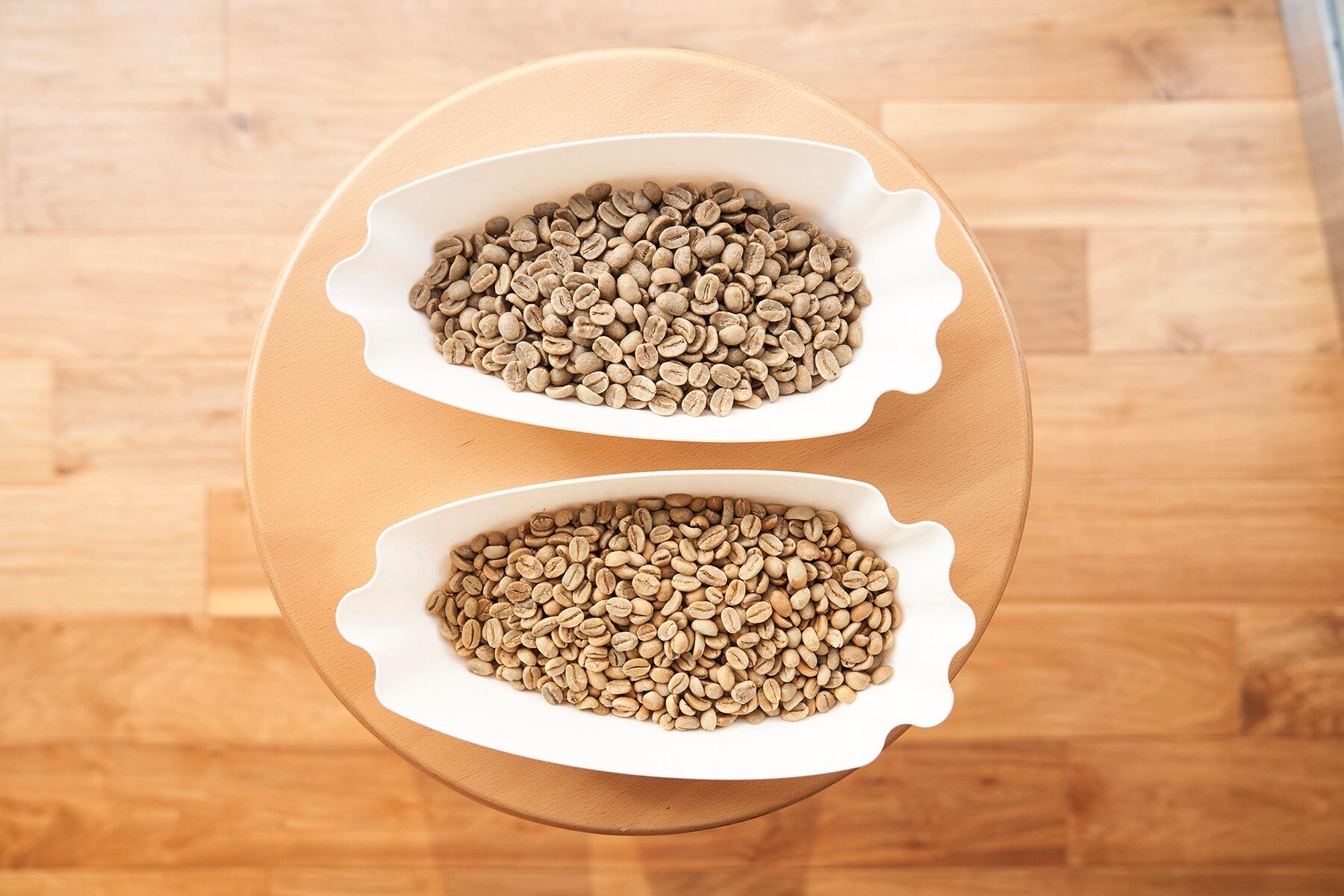 コーヒーの生豆