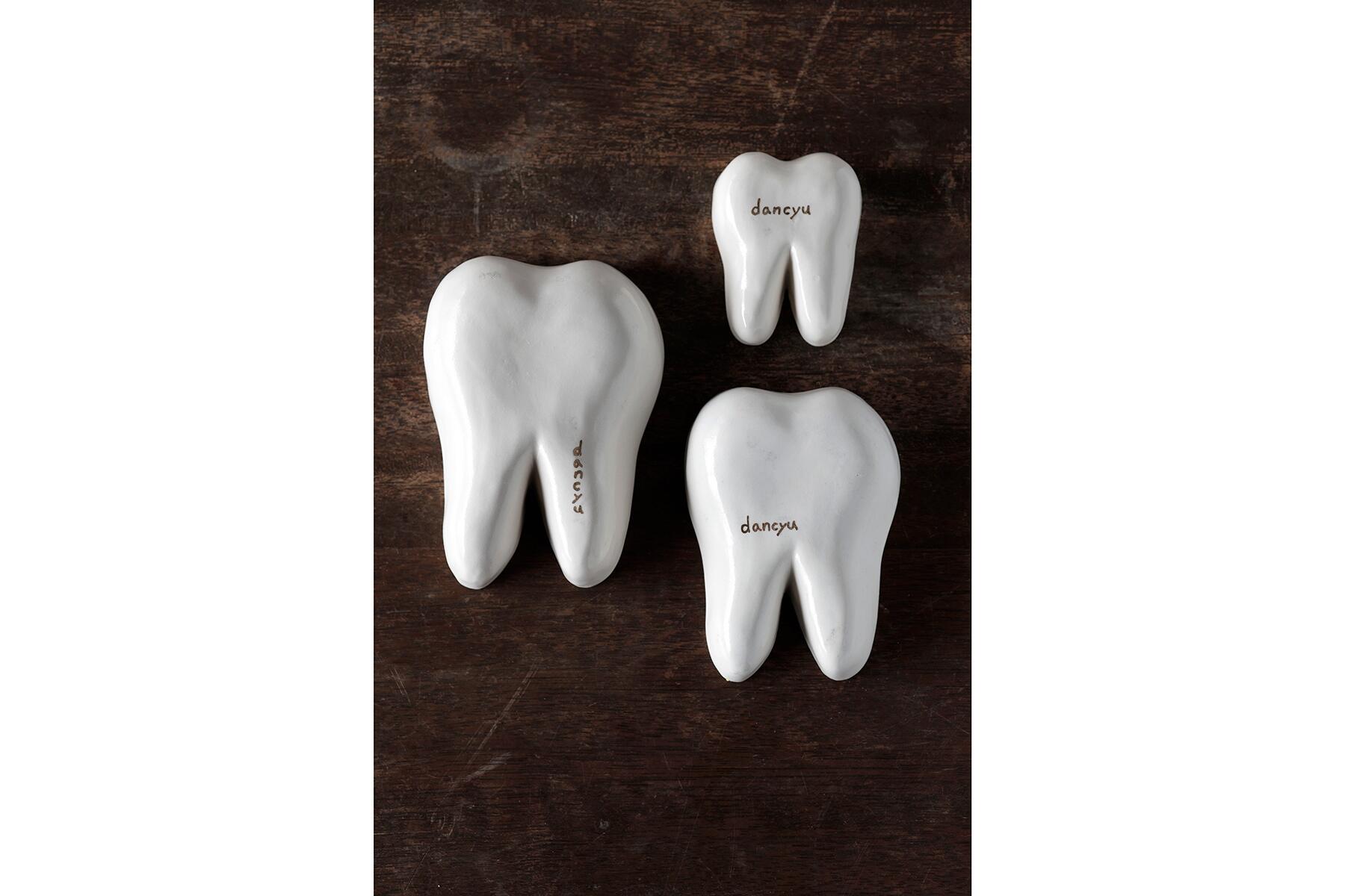 “歯のライス型”