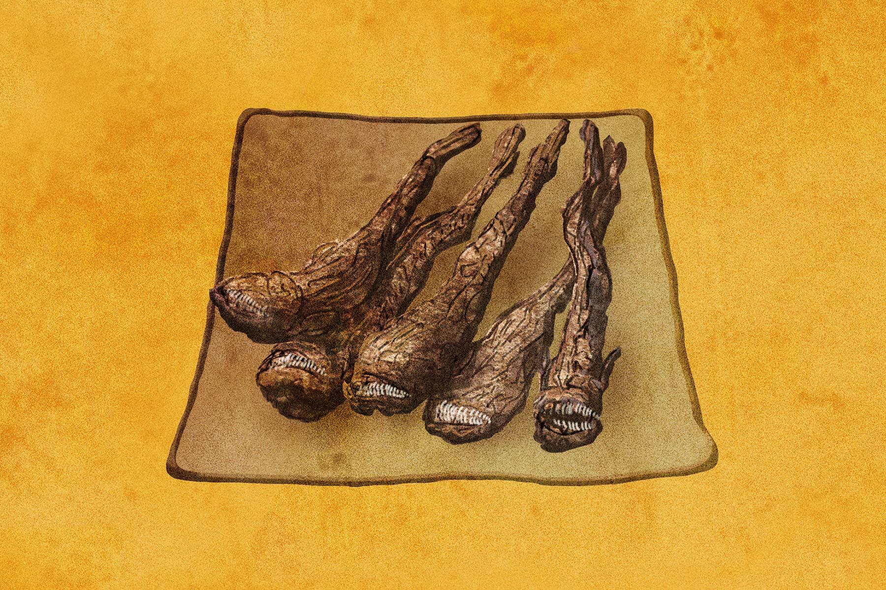 ワラスボ干物の素焼き